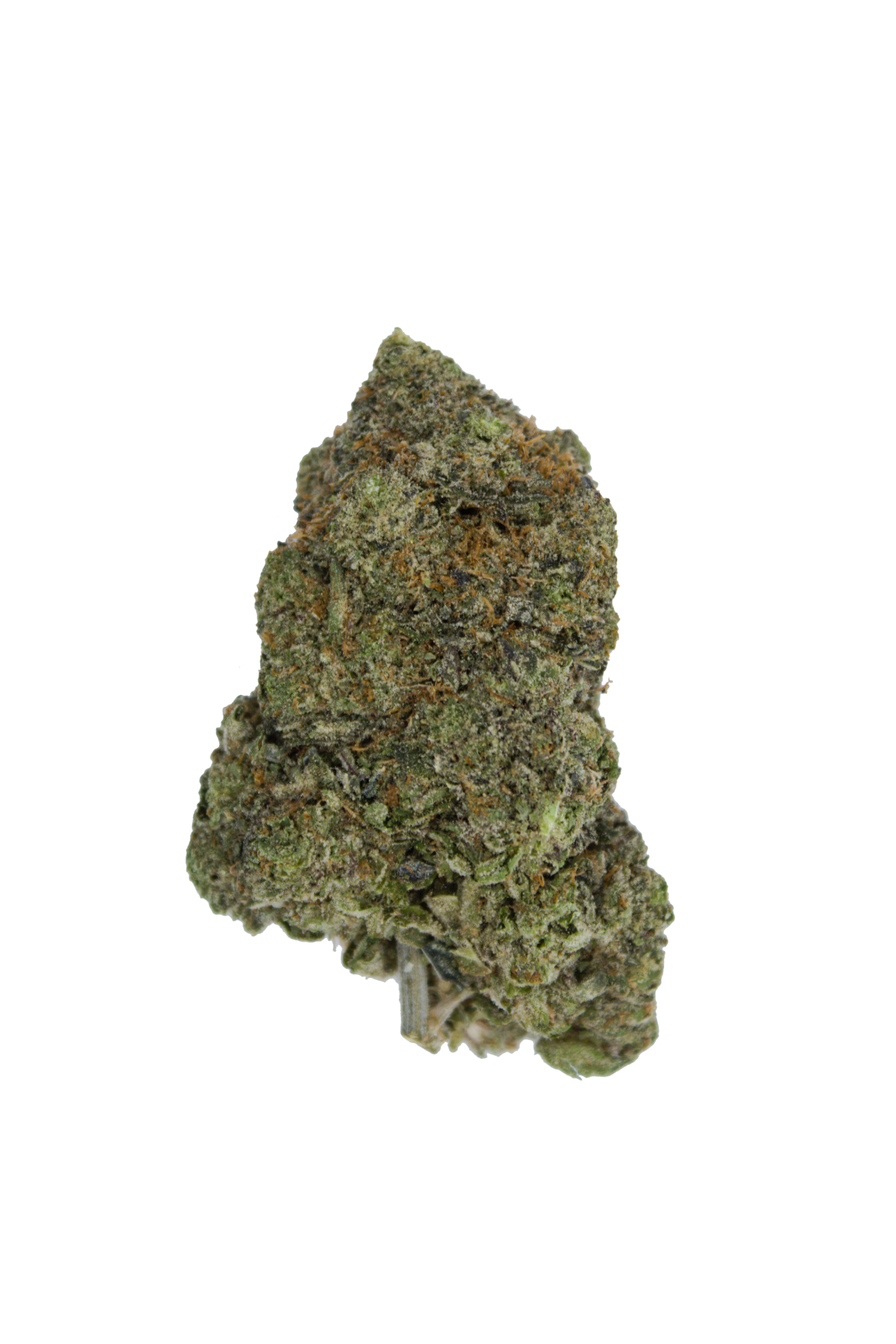 Gucci Pink Bud Gas Militia Gucci Pink (Oz special)