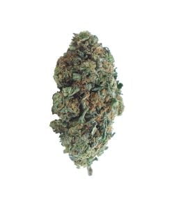 buy hindu kush online