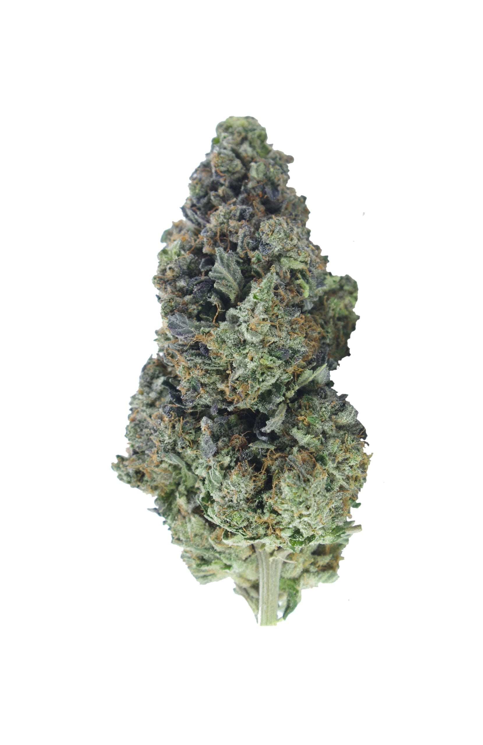 Insane Pink bud scaled Gas Militia - Pink Insanity Oz Special