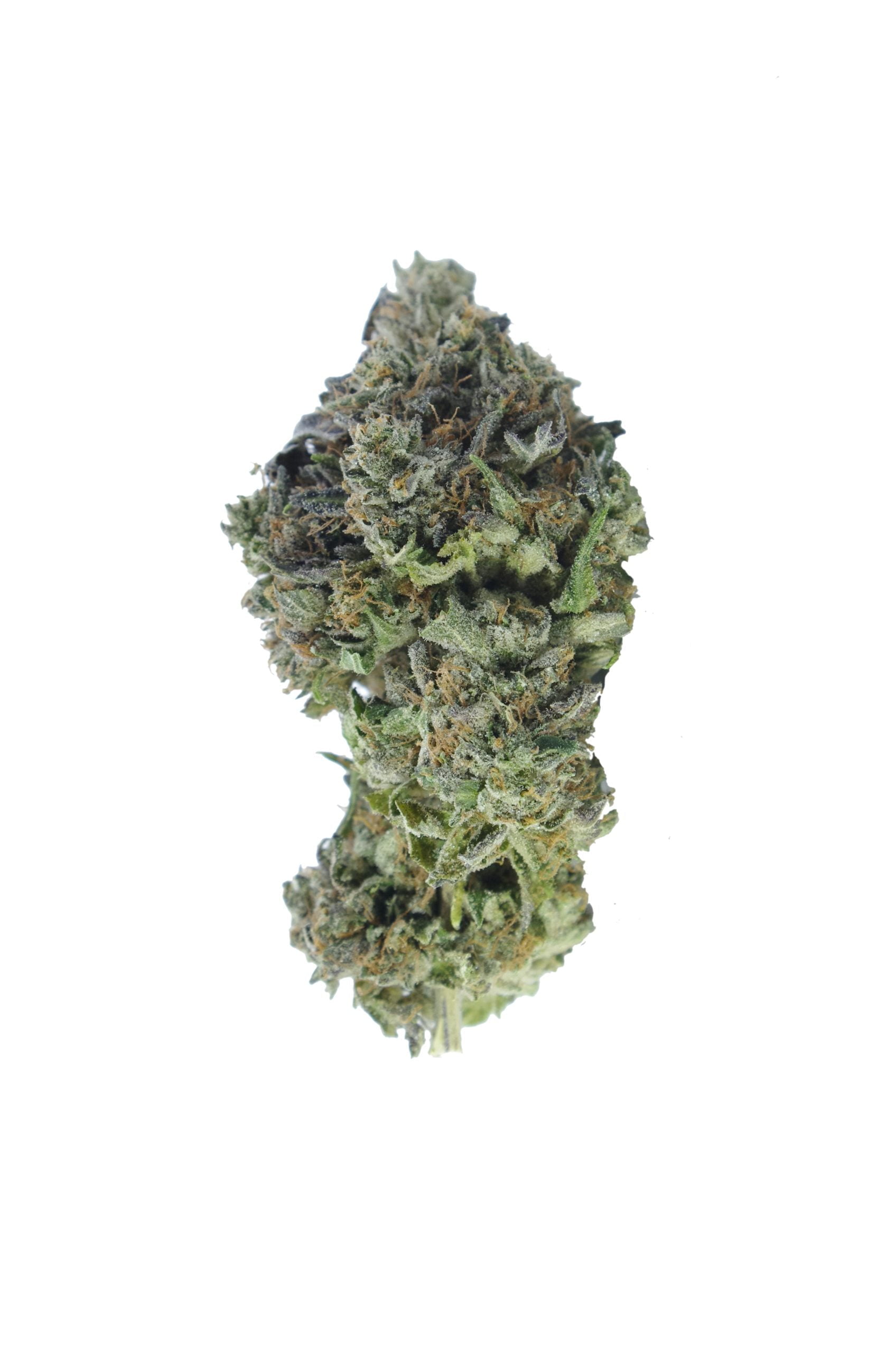 Island Pink Bud scaled Gas Militia - Diablo Oz Special