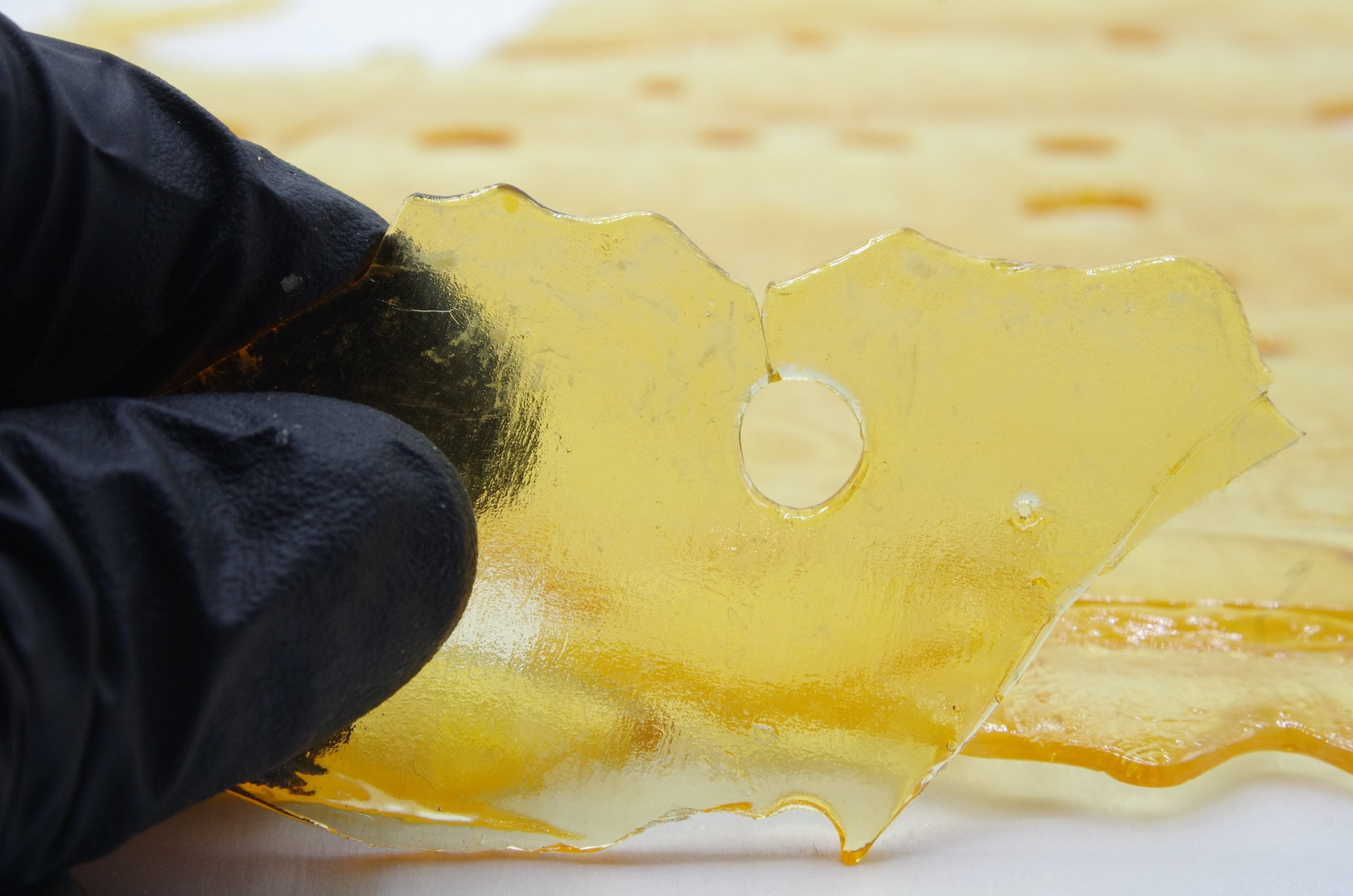 Mango peyote shatter glove scaled Mango Peyote Shatter