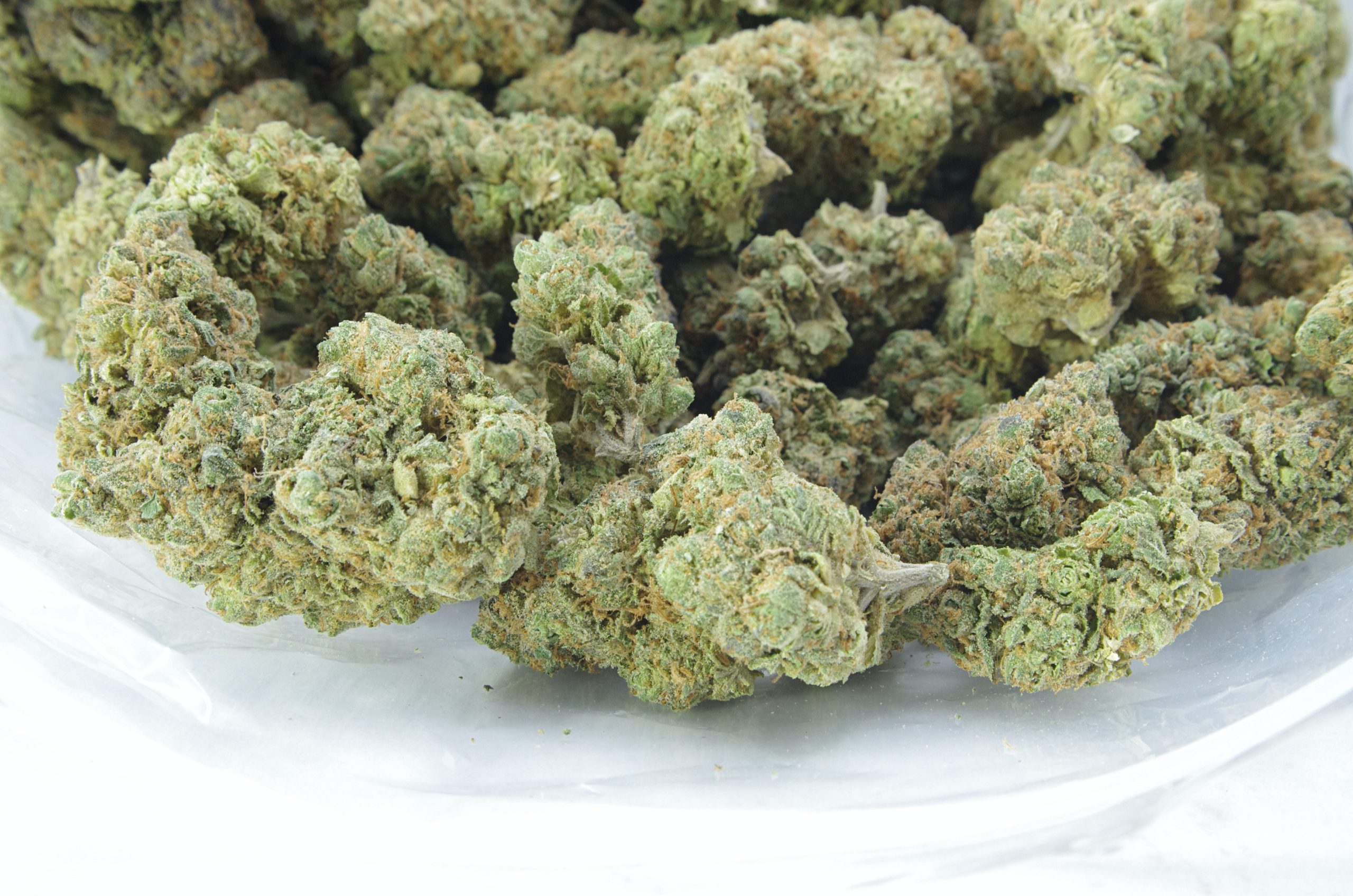 blueberry diesel bag scaled Blueberry Diesel (Oz Special)