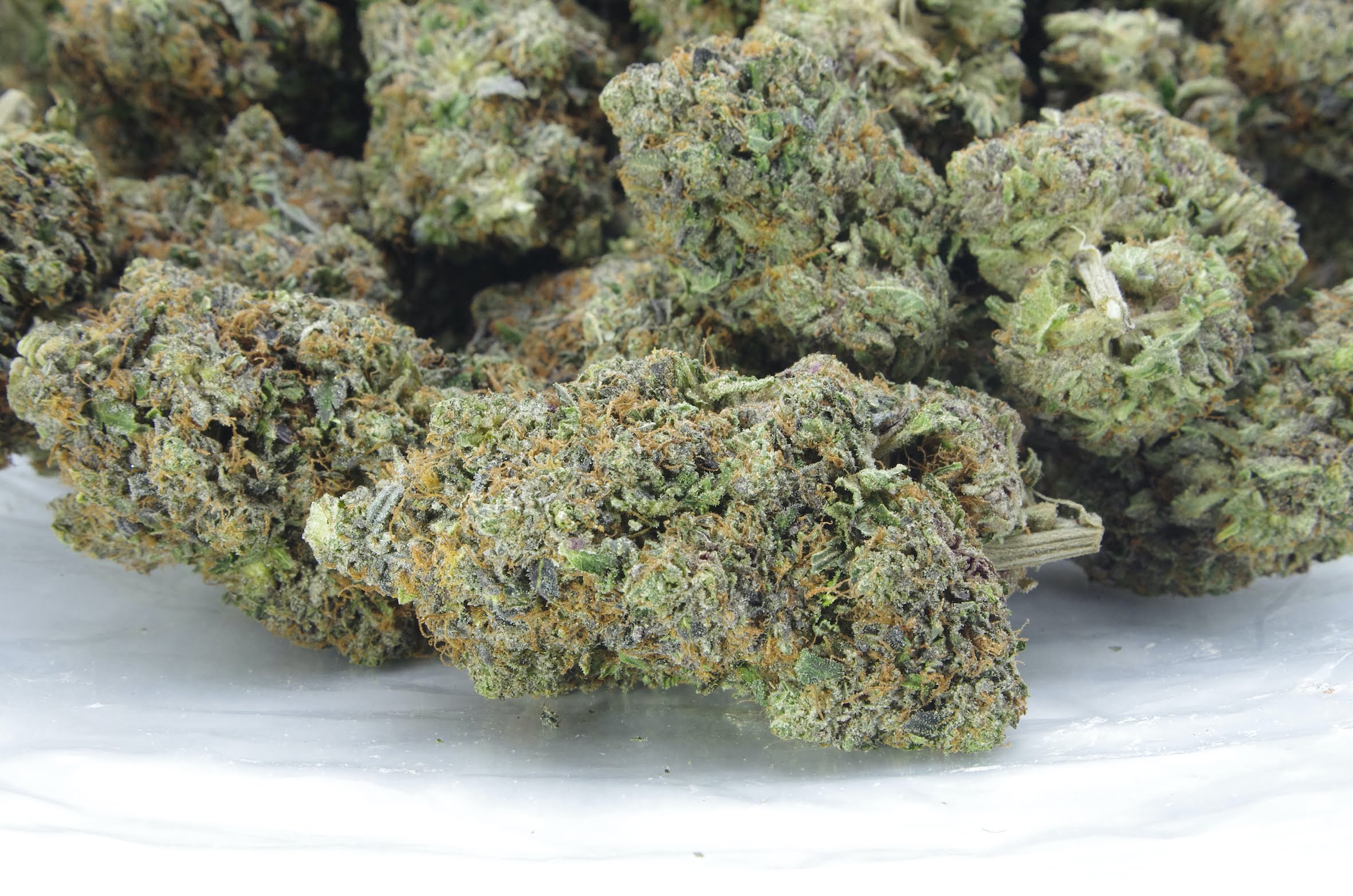 death goo bag Death Goo (Oz Special)