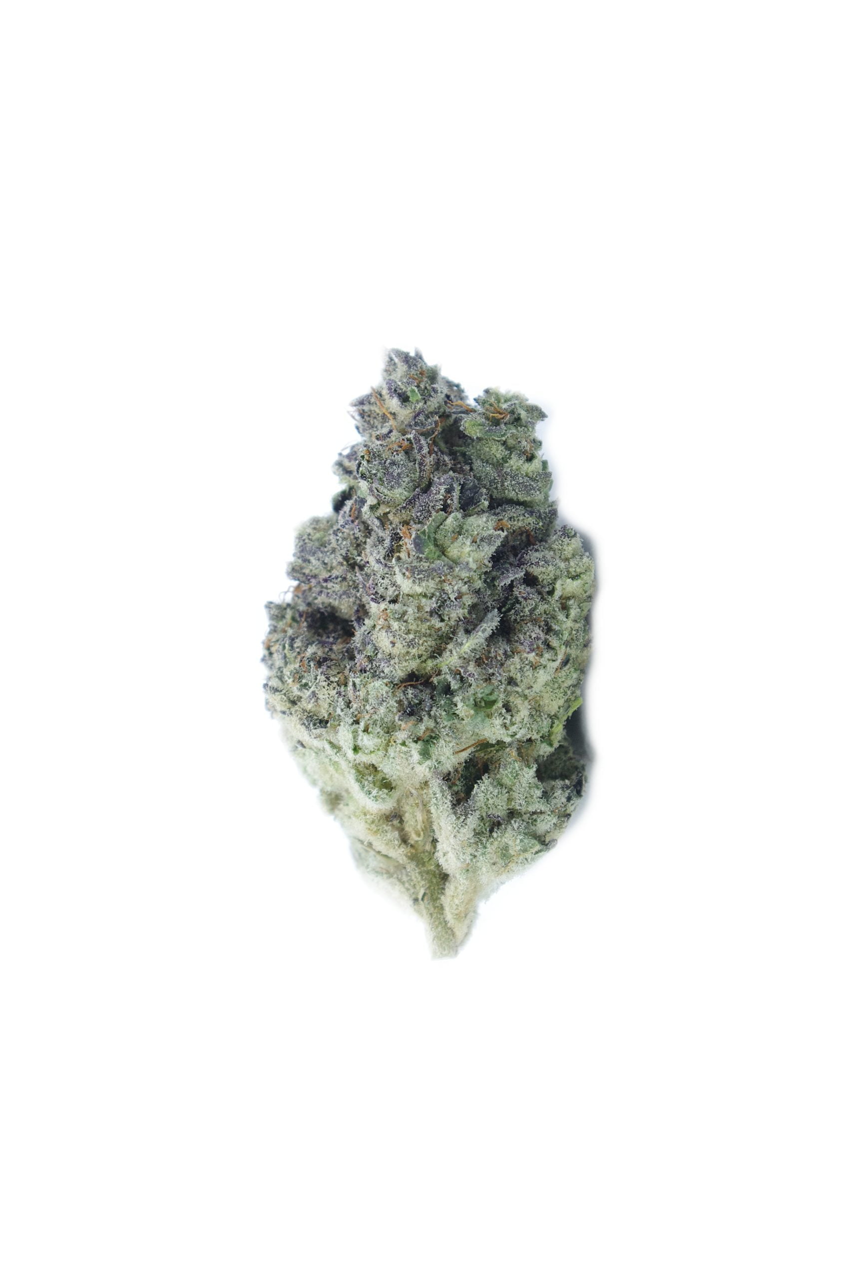 donkey butter bud scaled Donkey Butter (Oz Special)