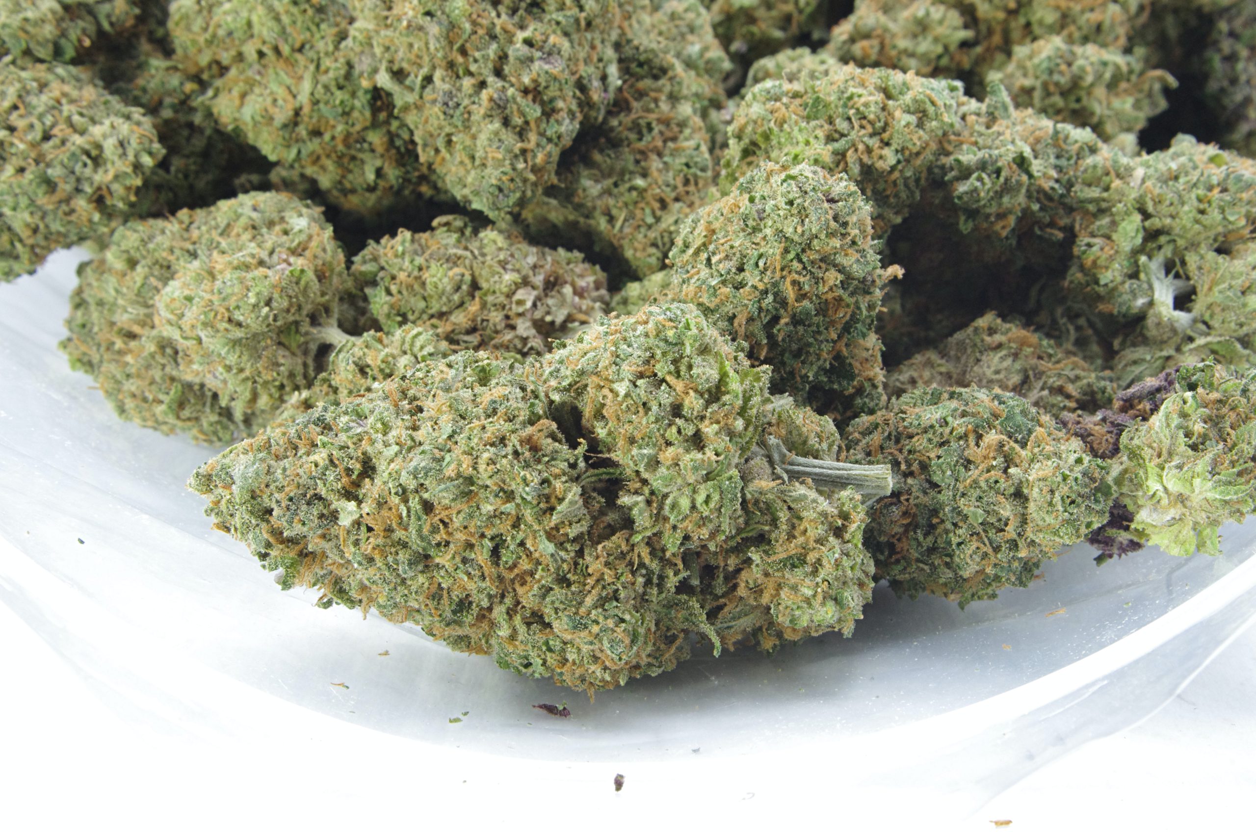 snoops dream bag scaled Snoop's Dream (3.5G)