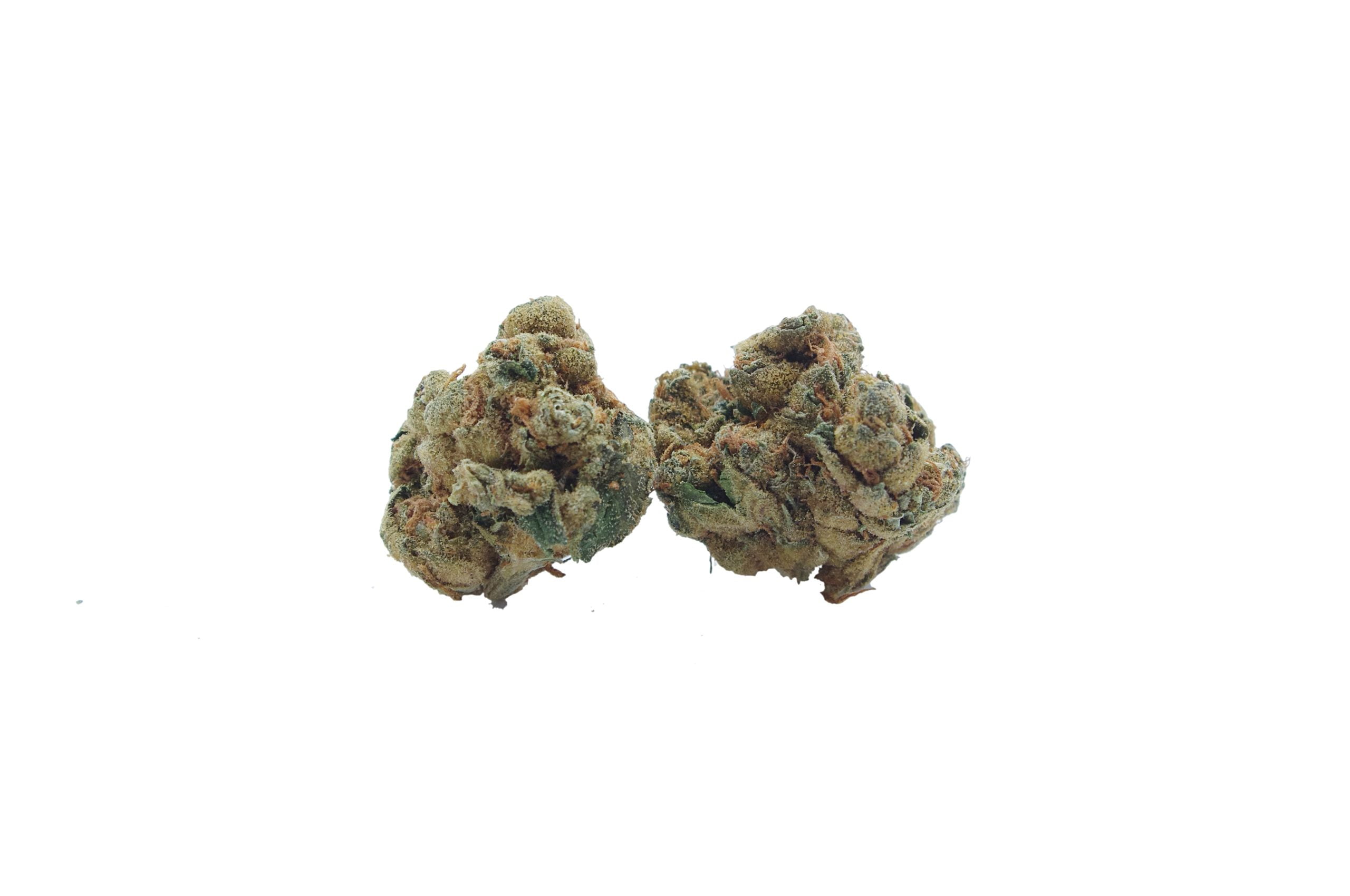 Apple Fritter Trd y bud scaled Apple Fritter Oz Special