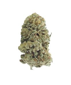 buy blueberry og online