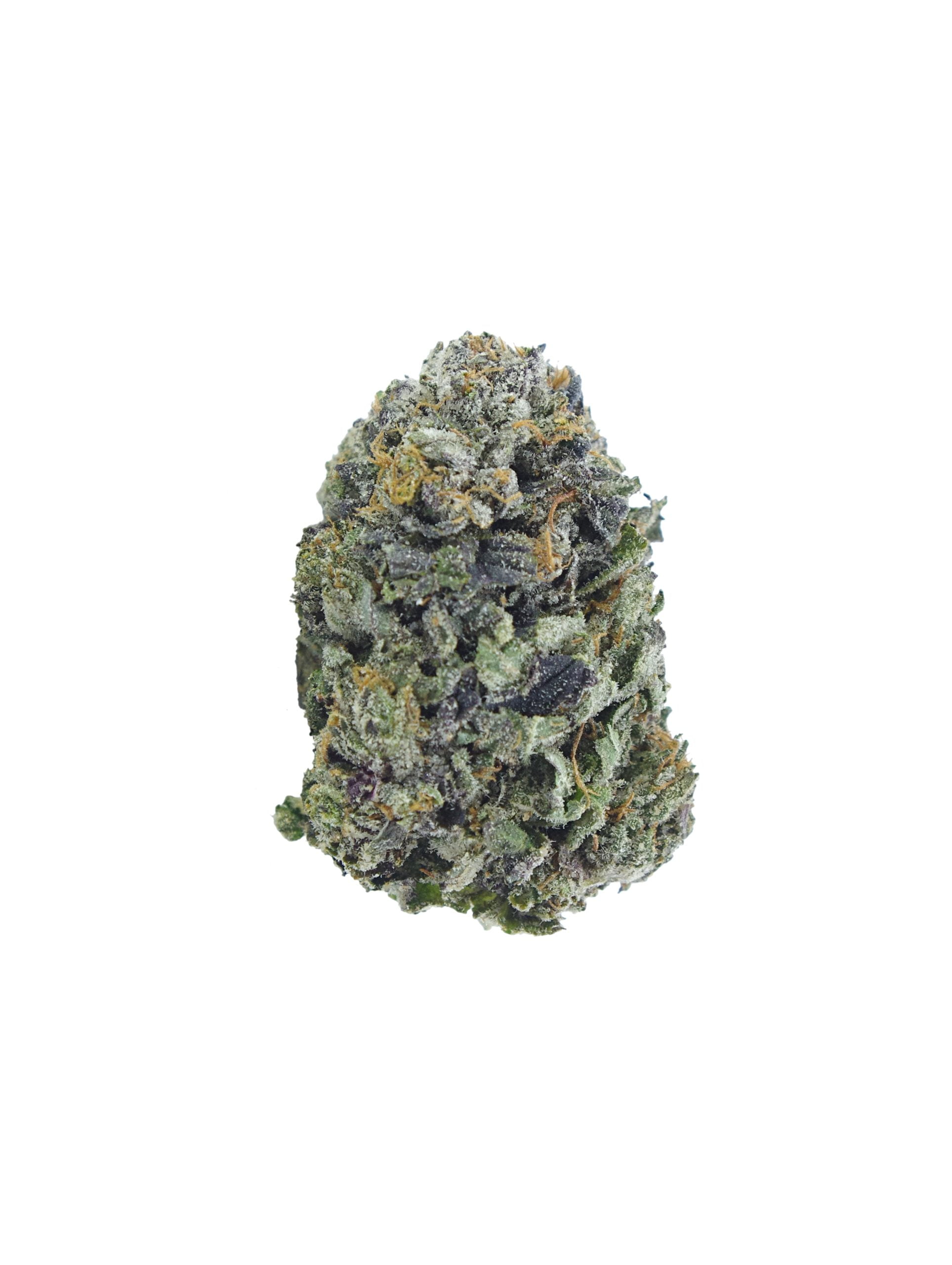 Death Bubba budd scaled Death Bubba (1/8th)
