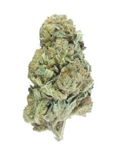 buy og kush online