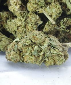 OG haza bag OG haza bag