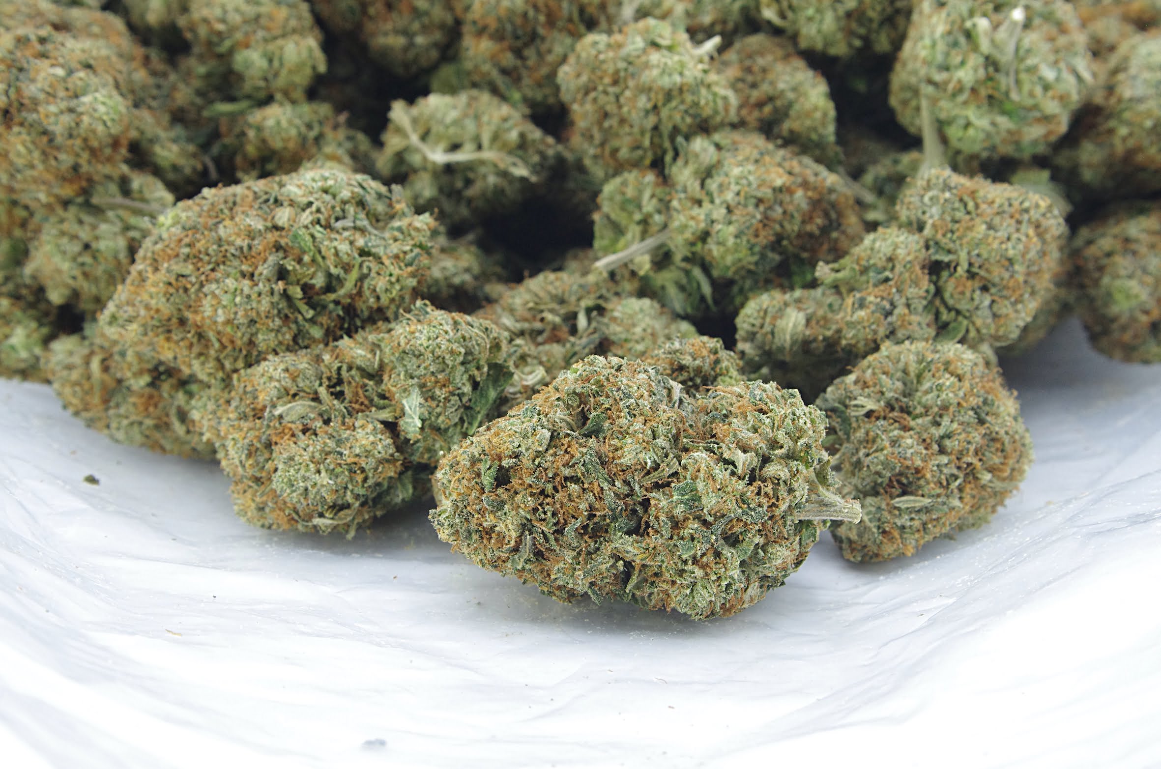 Pink bubba bag Pink Bubba