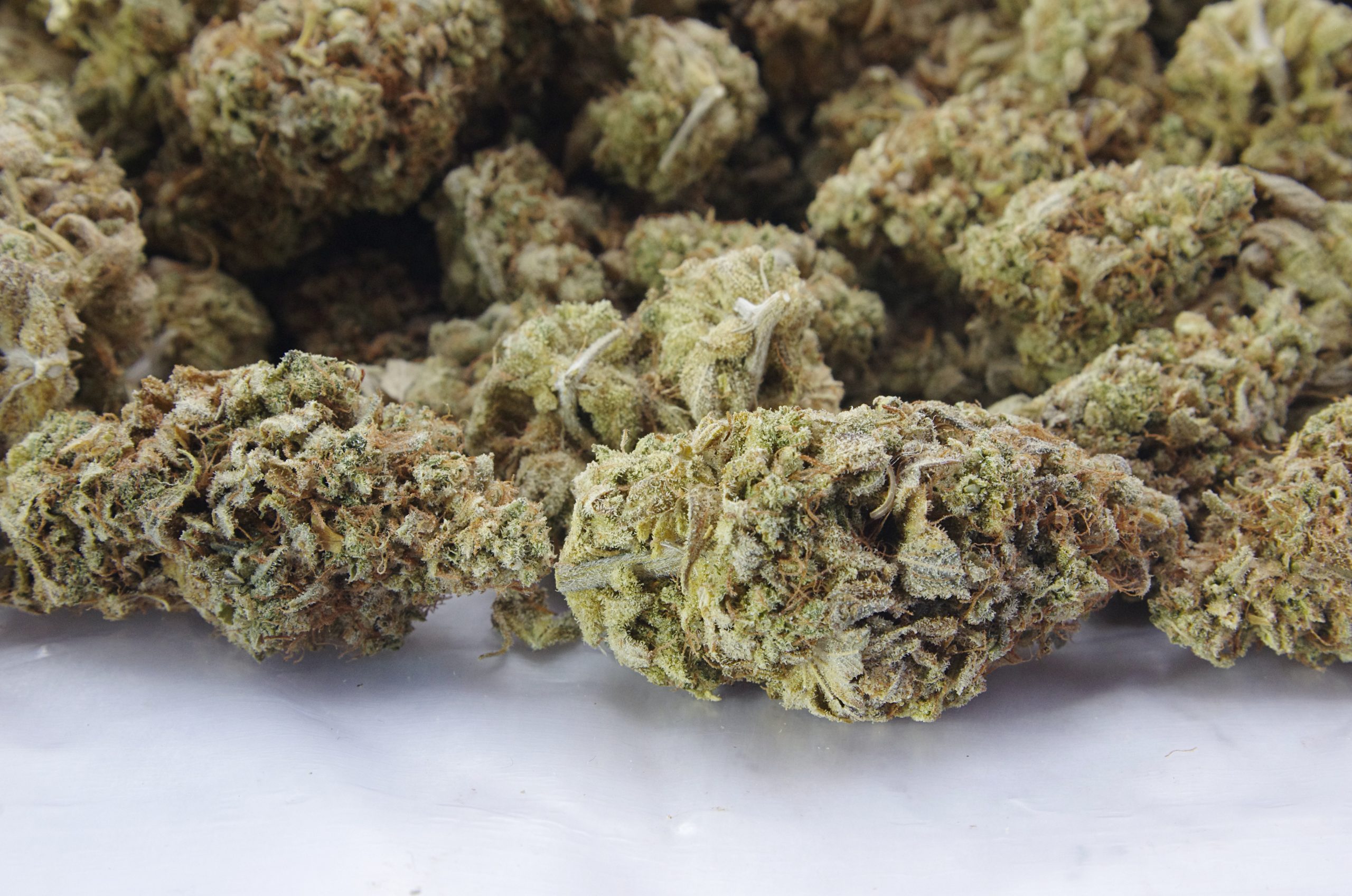 SBC Bag scaled Van Island Exotics - Sour Banana Cookies