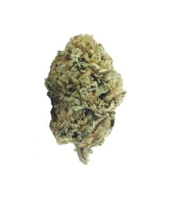 buy sweet skunk online