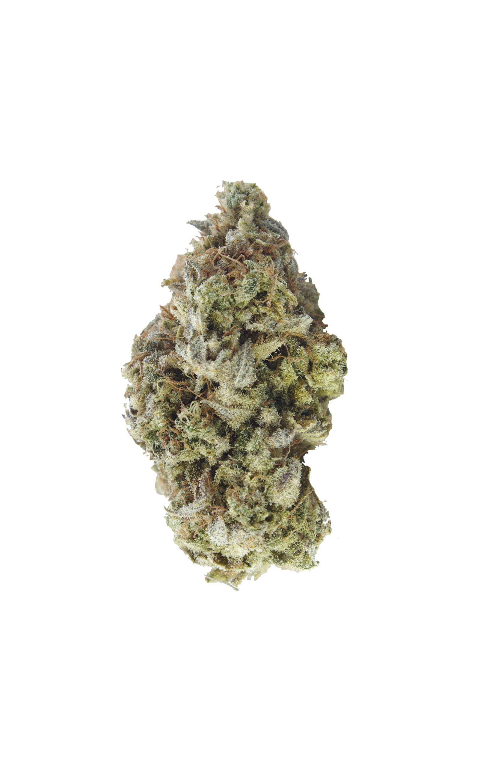 Sour BC Bud scaled Van Island Exotics - Sour Banana Cookies