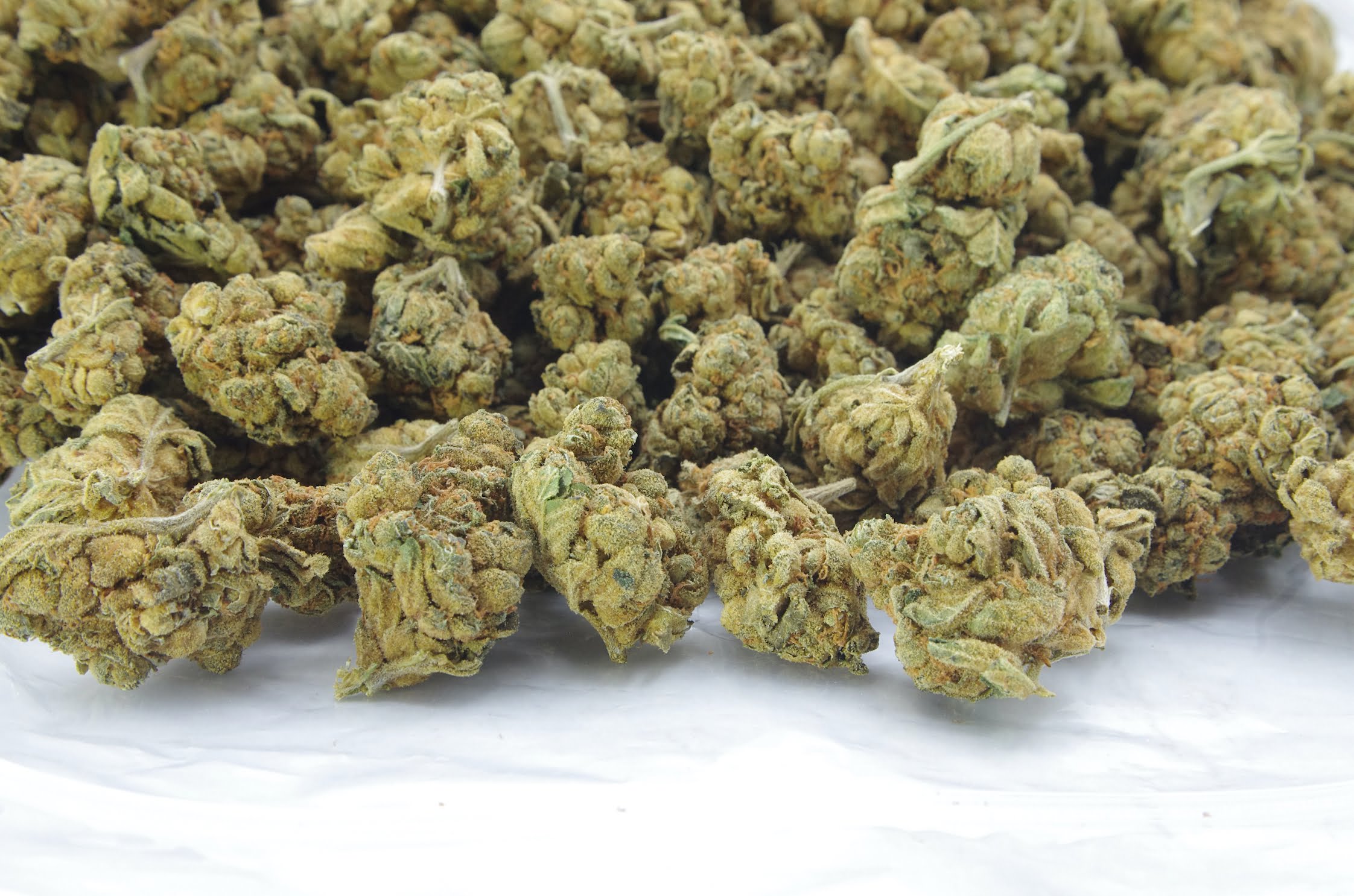 TRD Y Bag Apple Fritter Oz Special