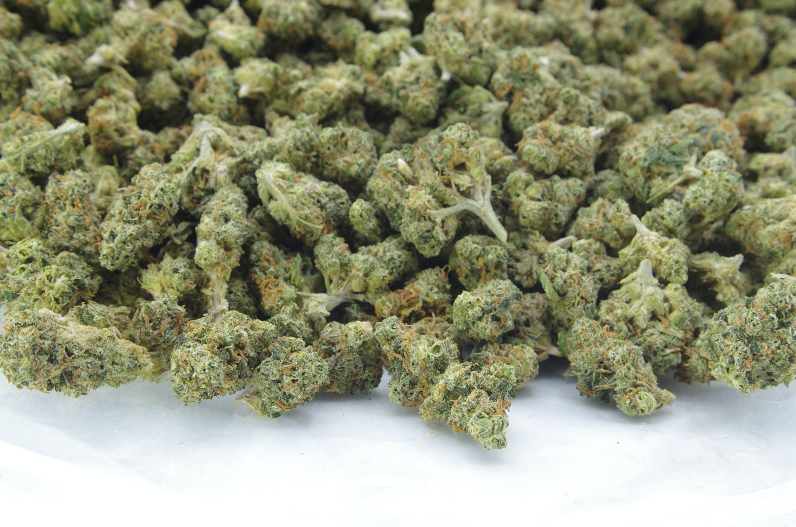 Zkittle smalls bag scaled Watermelon Zkittles Smalls Oz Special