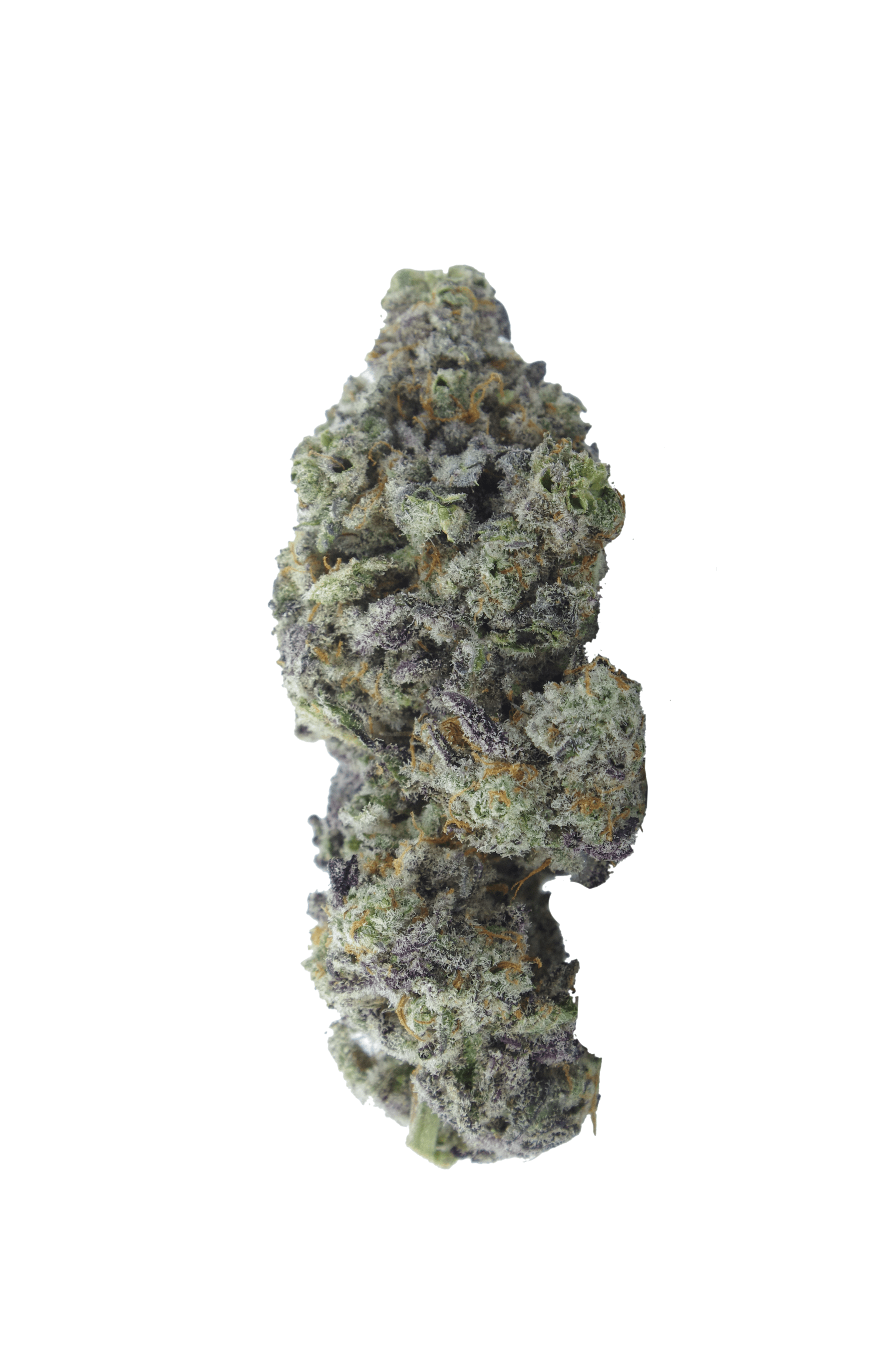 funky grapes bud 2 Funky Grapes (1/8ths)