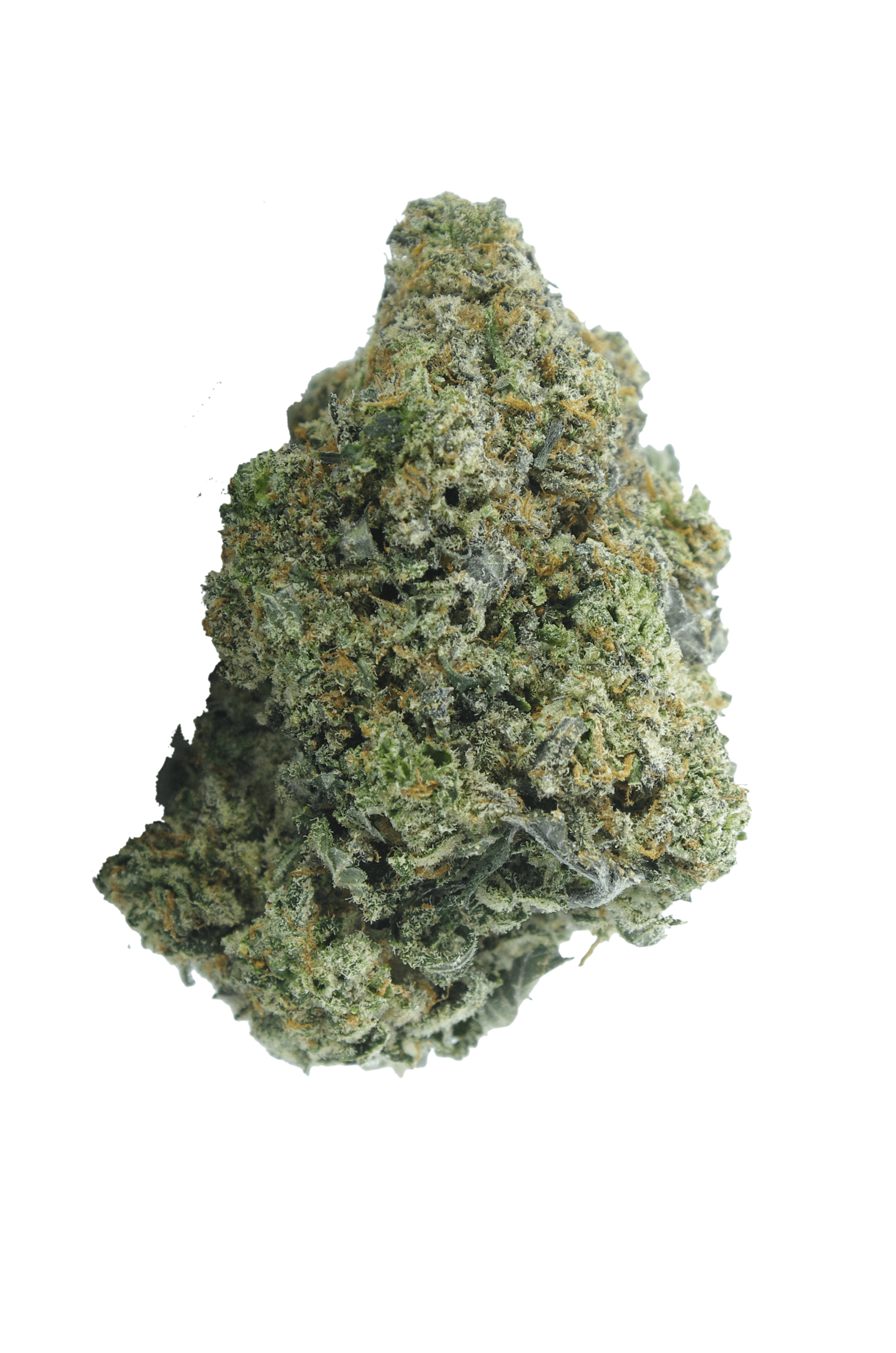gas soda bud Gasoline Soda (Oz Special)