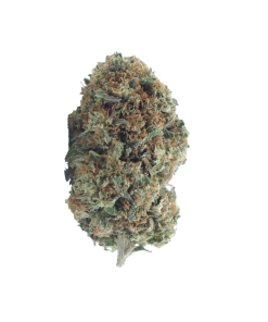 buy pink bubba online