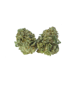 buy runtz online