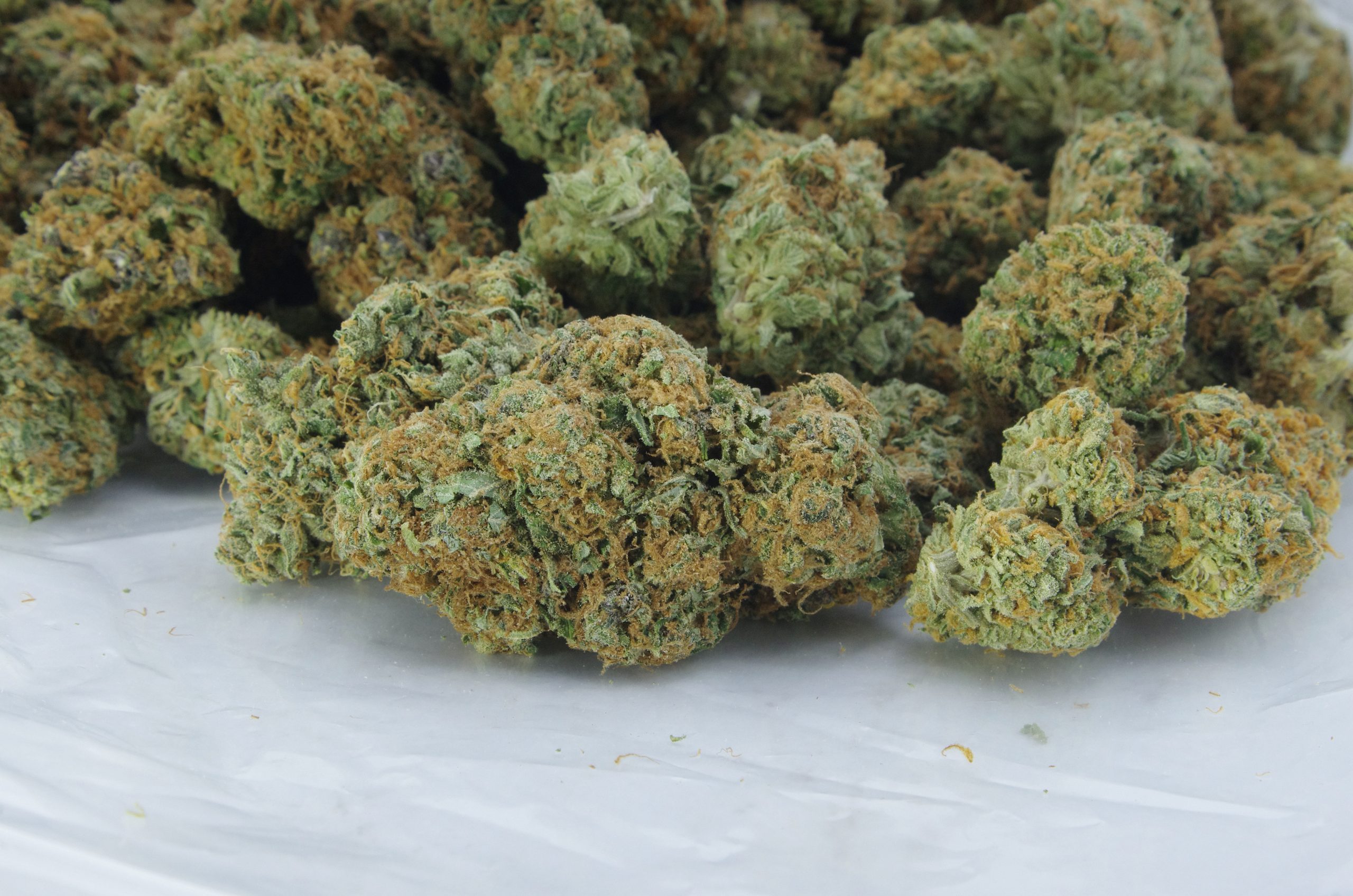 AK Grapefruit Bag scaled AK Grapefruit Oz Special