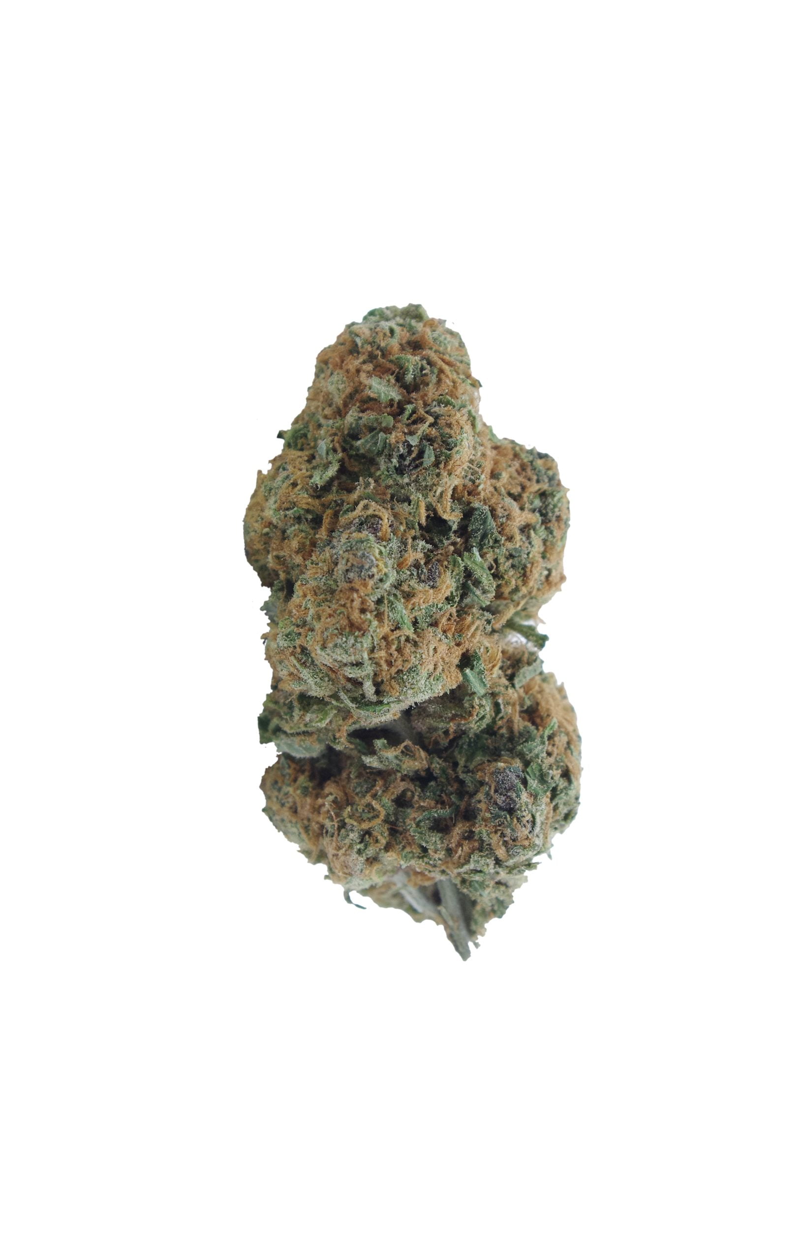 Ak Grapefruit bud scaled AK Grapefruit Oz Special