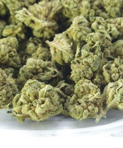 GG4 Bag