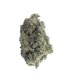 buy Gas Militia - Death Bubba online