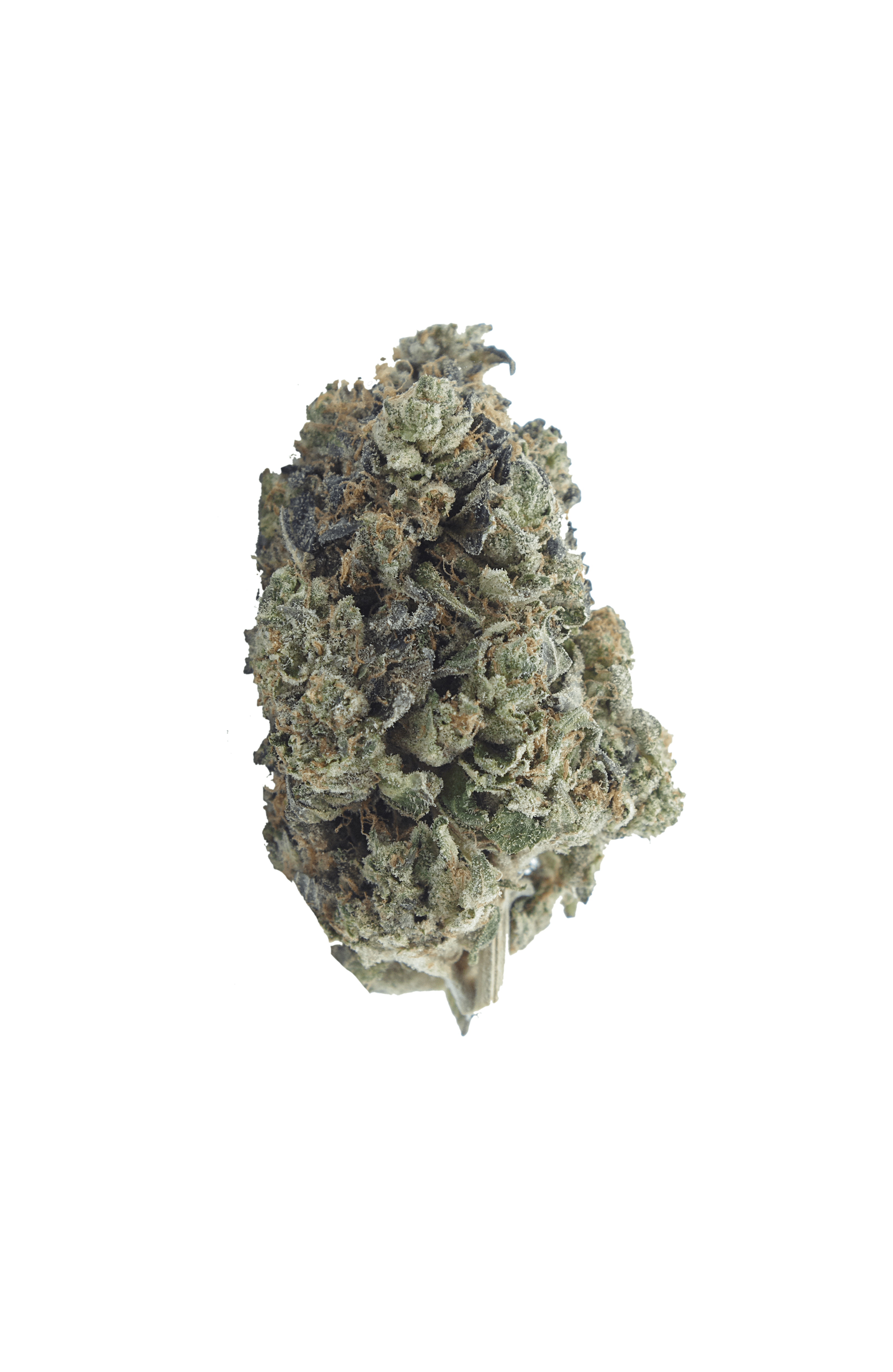 Gas Militia Death Bubba Gas Militia - Death Bubba Oz Special