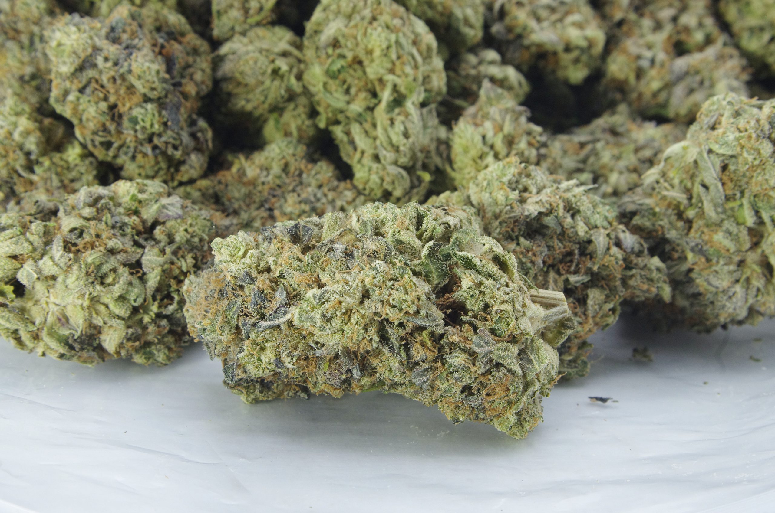 Gas militia death bubbabag scaled Gas Militia - Death Bubba Oz Special