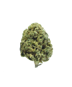 buy hindu kush online
