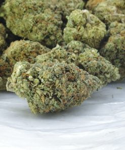 Phantom OG C4 Bag Phantom OG C4 Bag