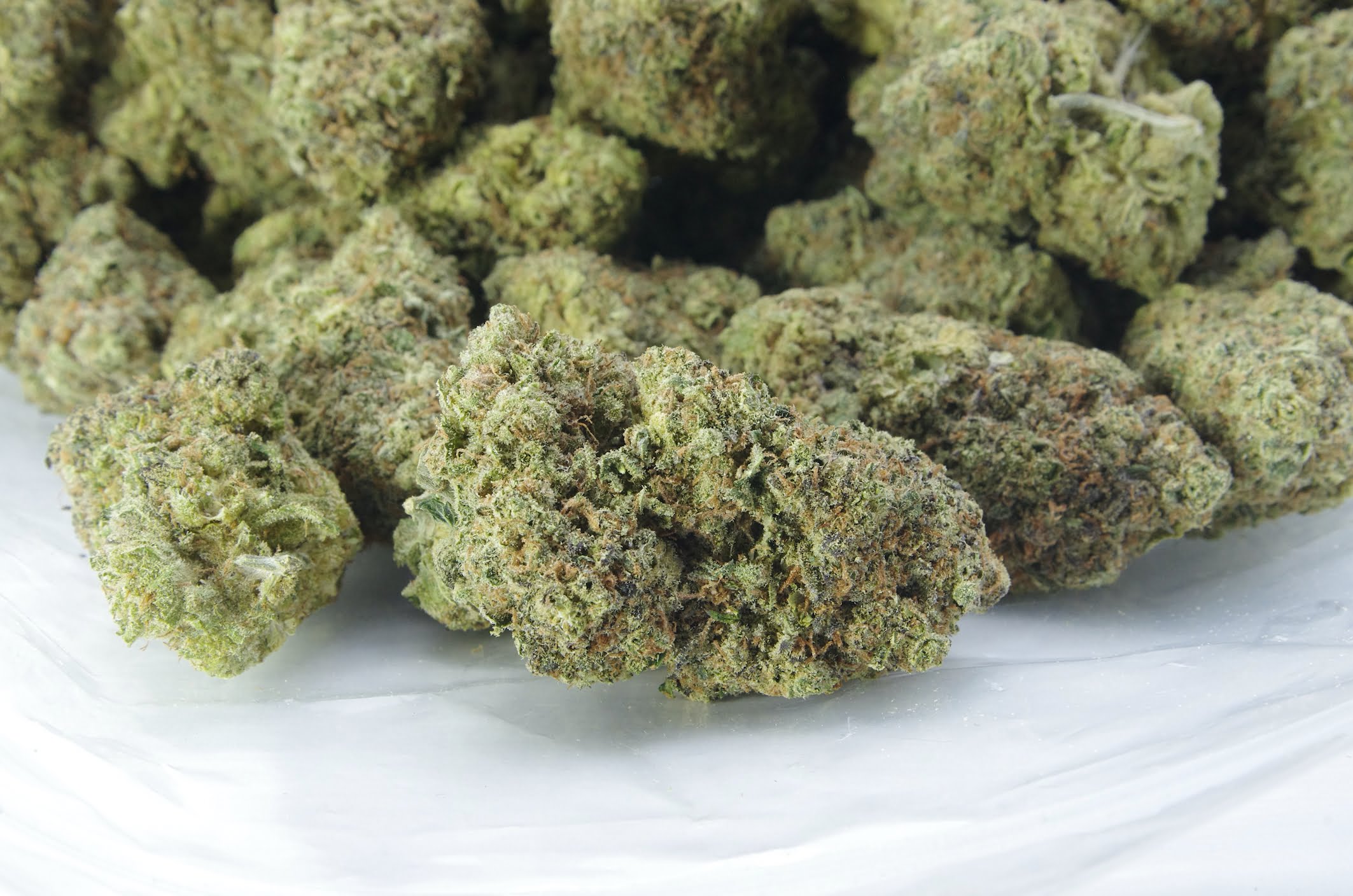 Sherbet OG bag Sherbert OG