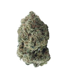buy sherbet og online