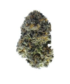 buy slurricane online