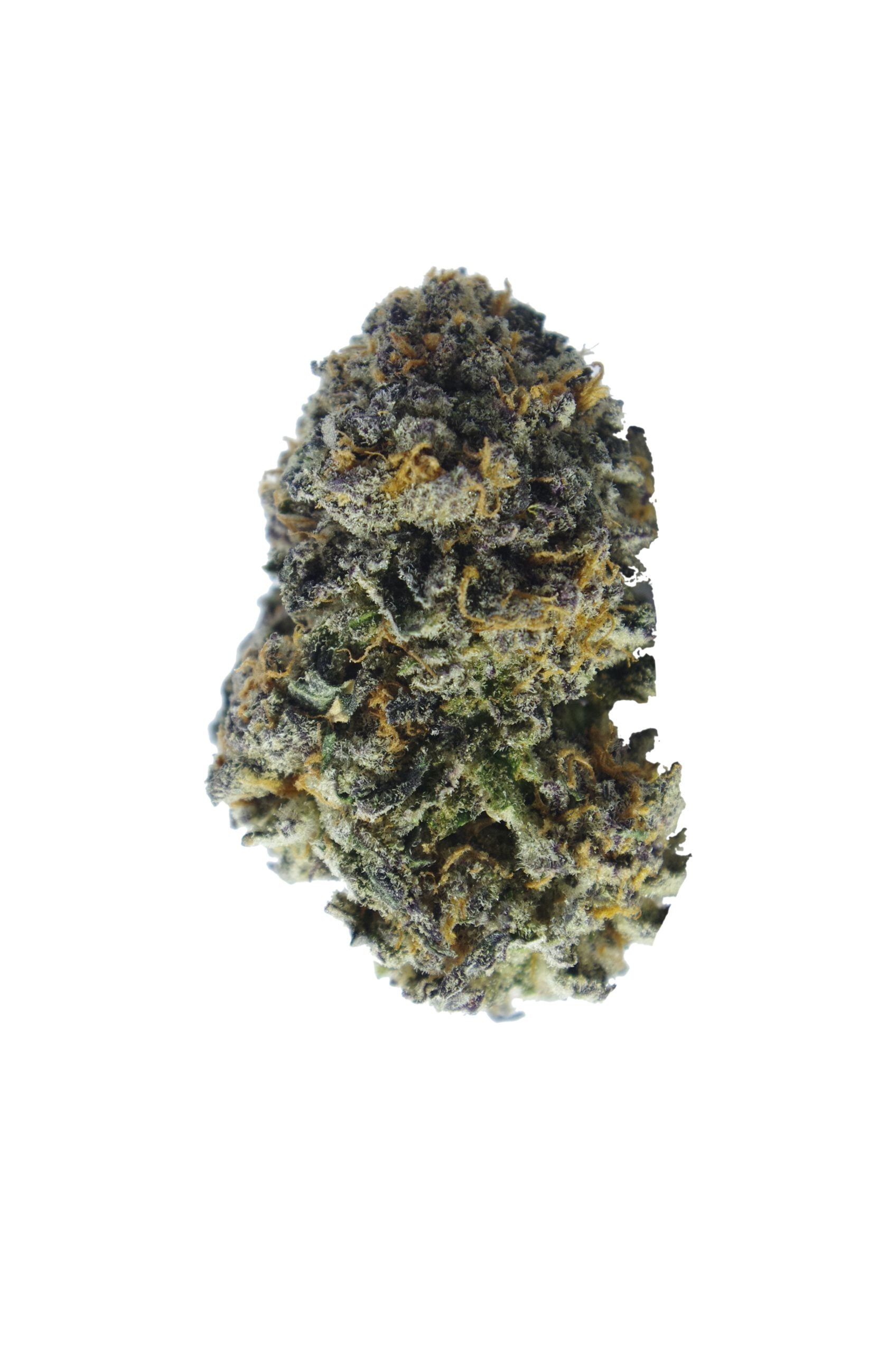 Slurricane bud scaled Slurricane