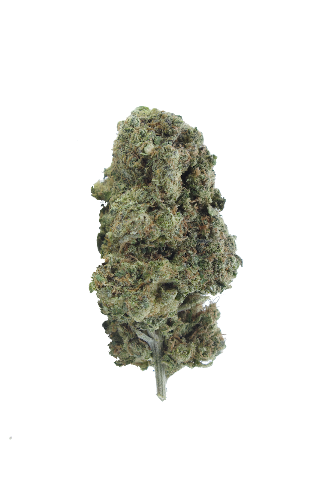 guava god bud Guava God
