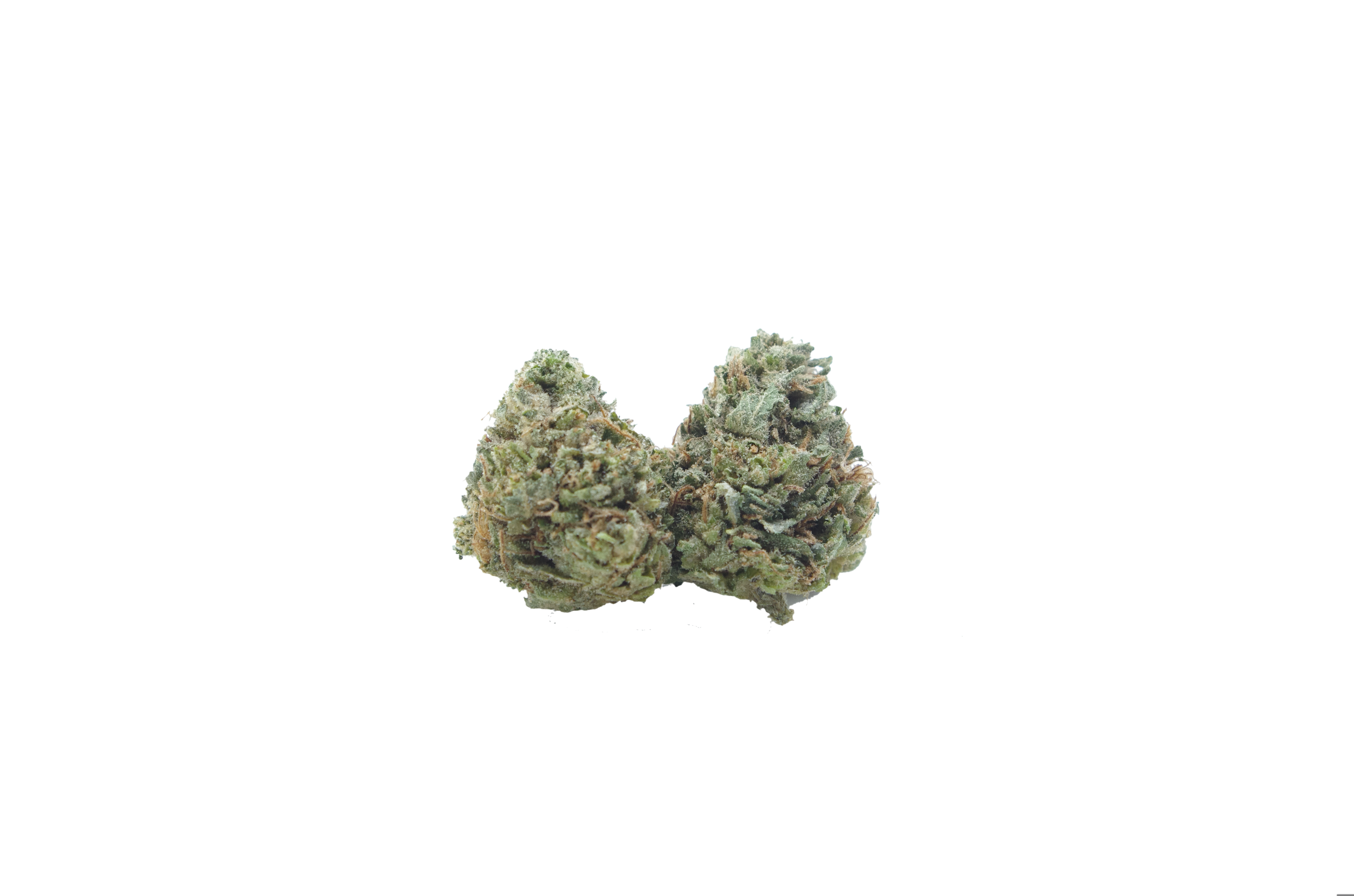 mku sm buds MKU Smalls Oz Special
