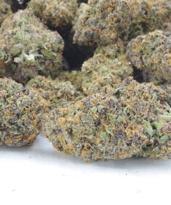 purple tangie bag purple tangie bag