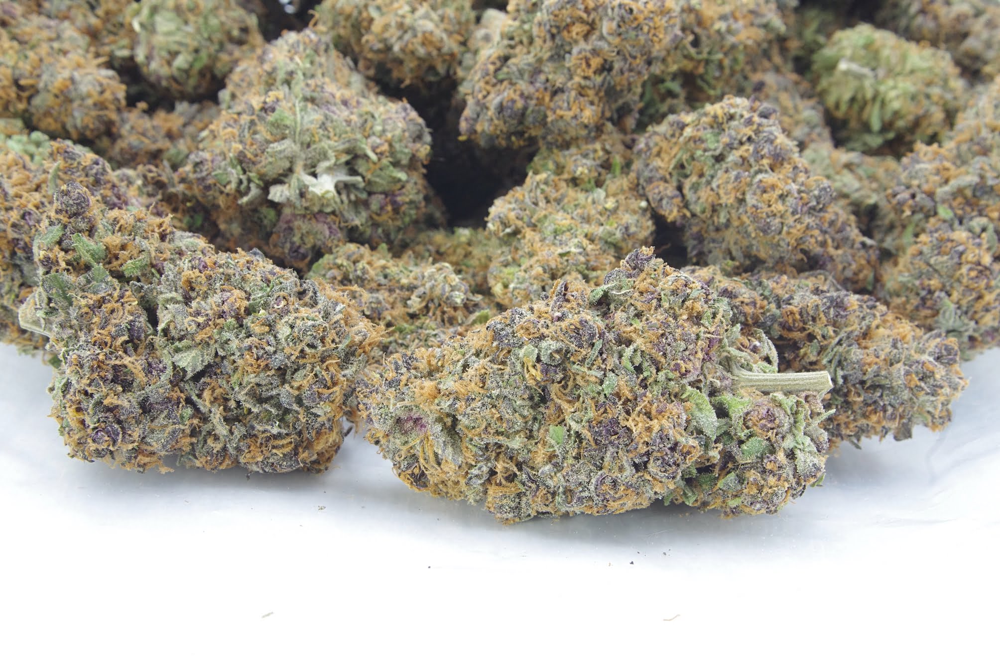 purple tangie bag Purple Tangie (Oz Special)