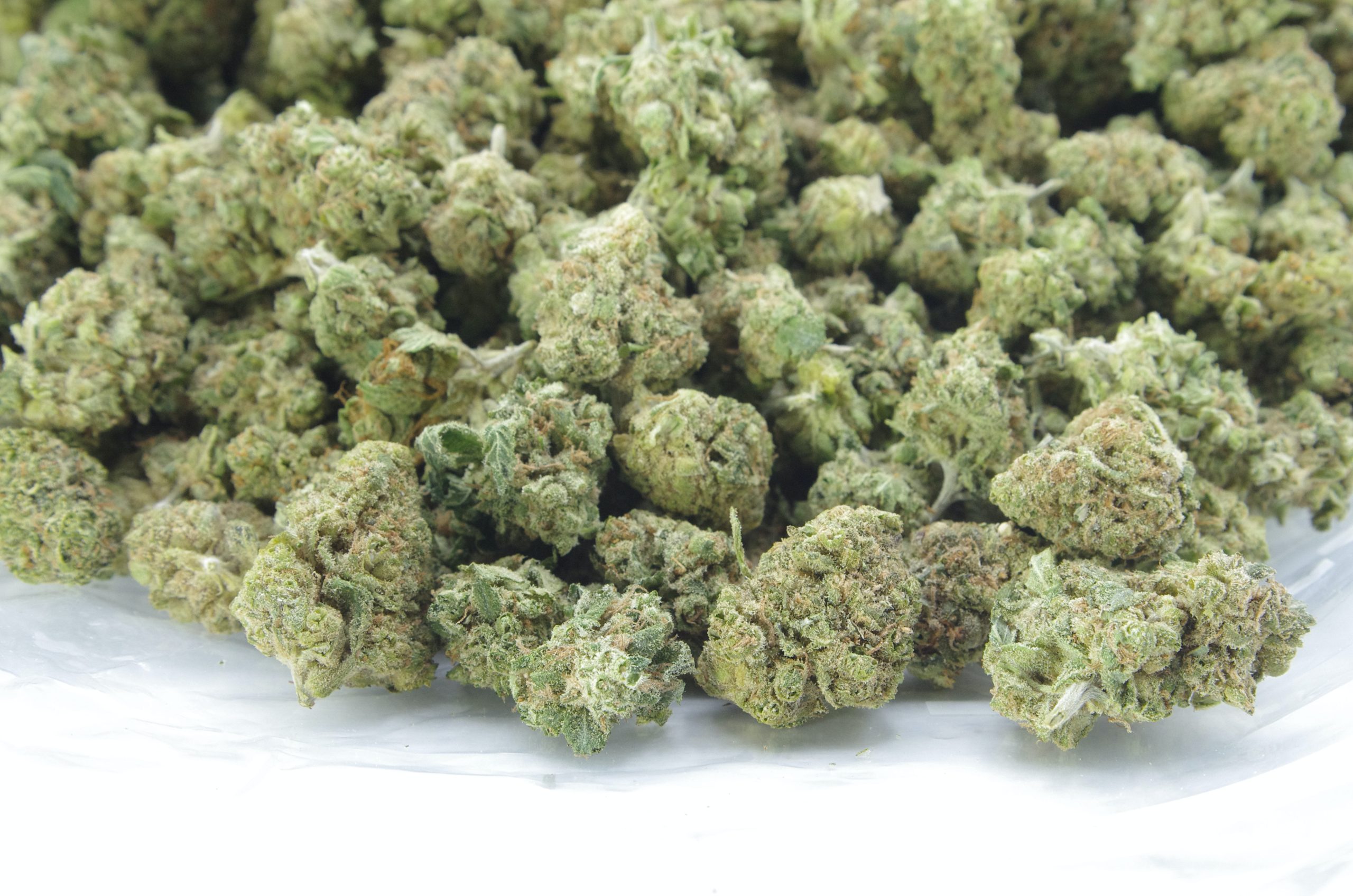 sherb og smalls bag scaled Sherbert OG Smalls (Oz Special)
