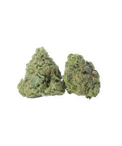 buy sherb og online