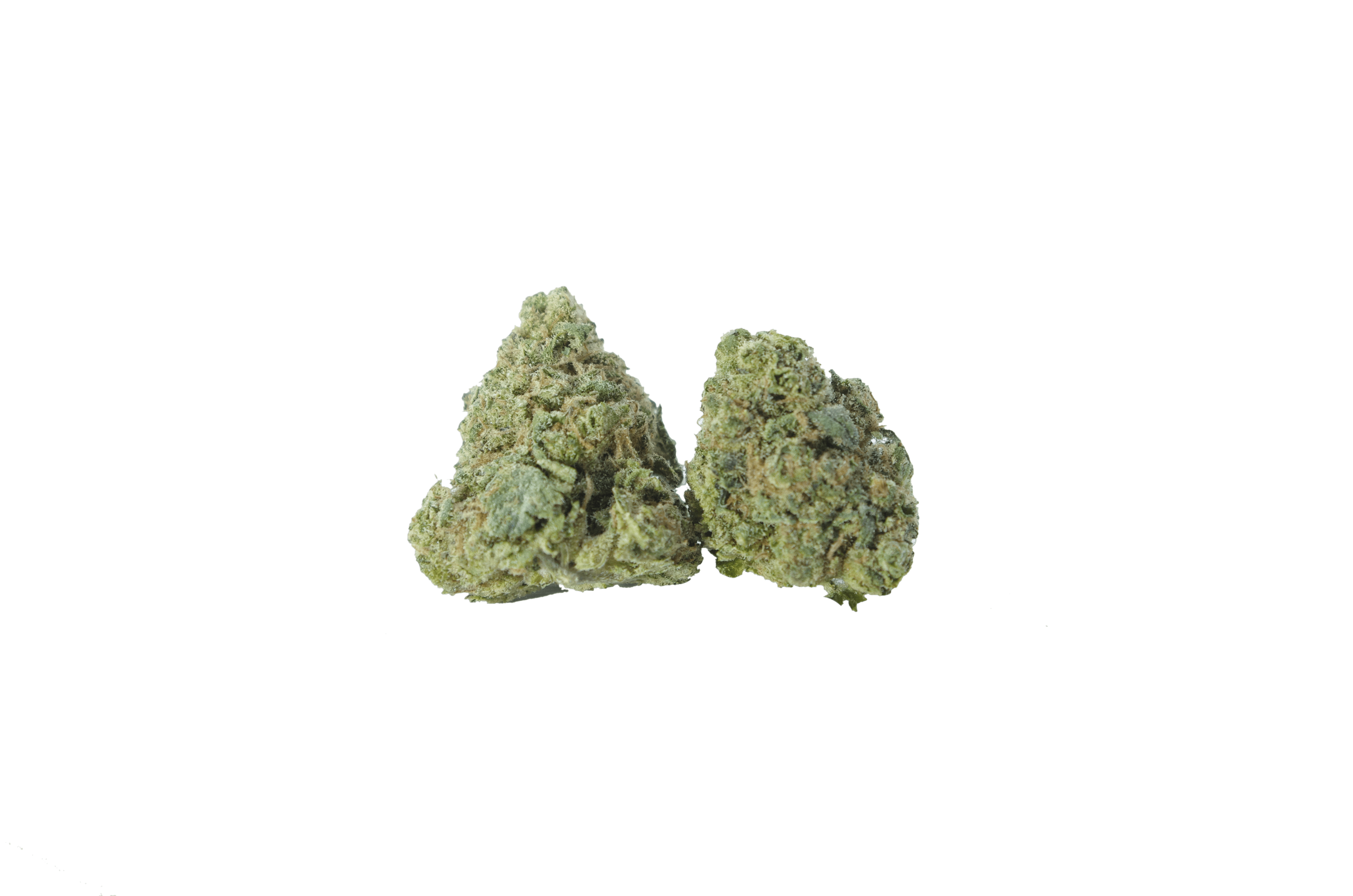 sherb og smalls bud Sherbert OG Smalls (Oz Special)