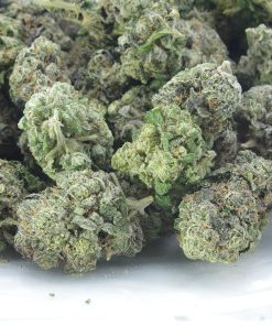 buy berry white online