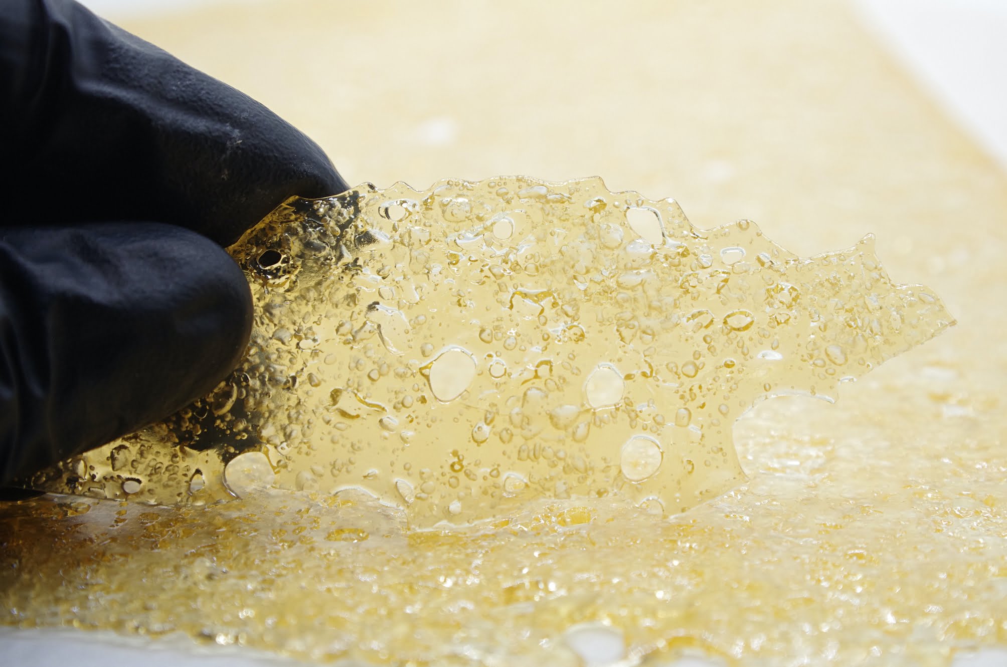 Dosido shatter glove Dosidos Shatter