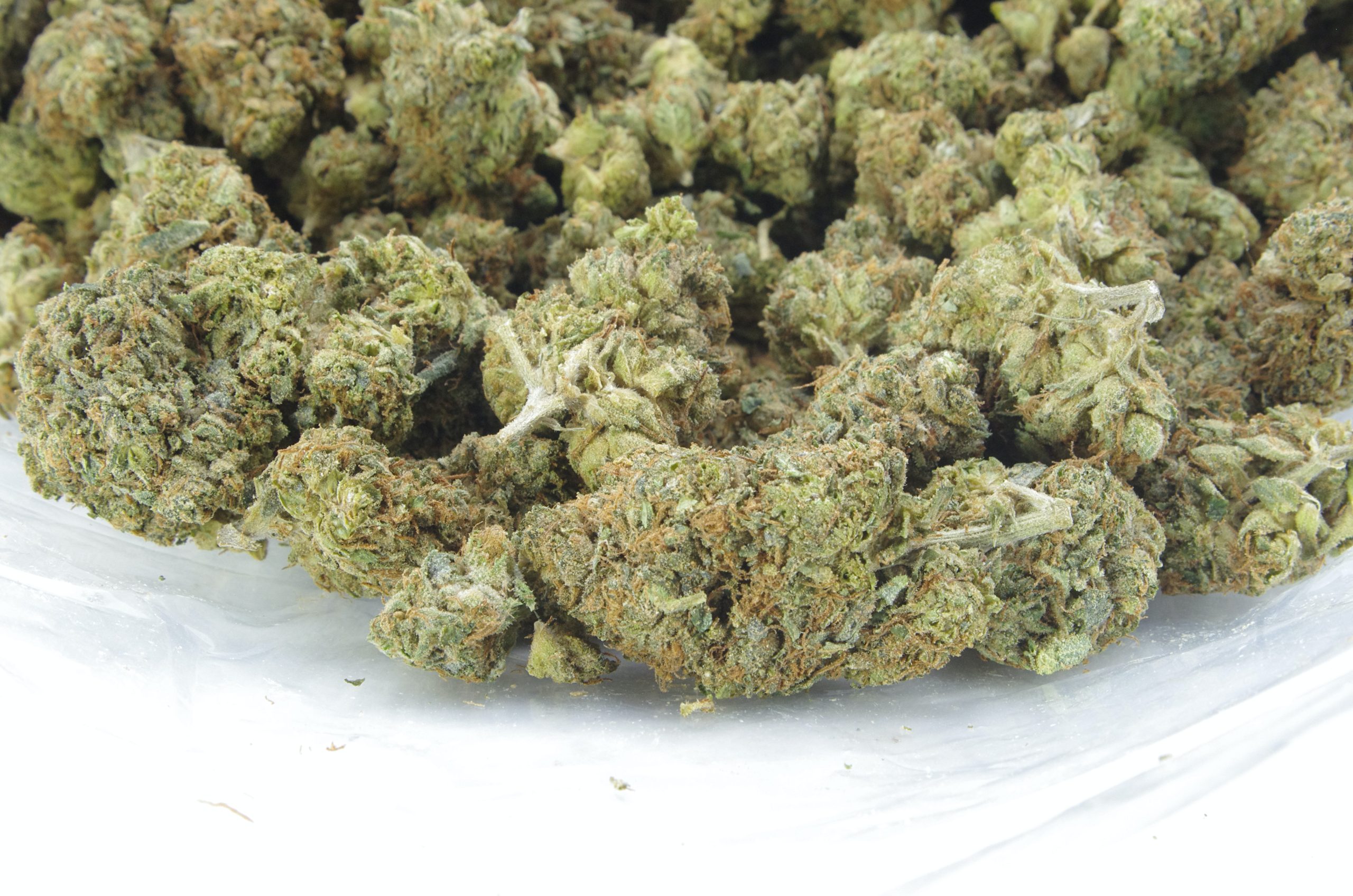 IP Bag scaled Island Pink Kush (Oz Special)