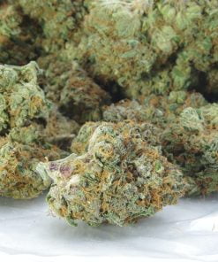 Neville haze bag