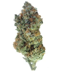 buy nevile haze online