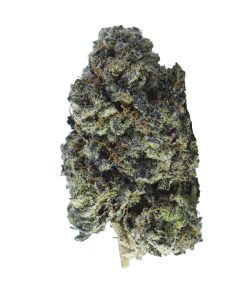 buy white truffle online