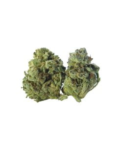 buy chimp mints online
